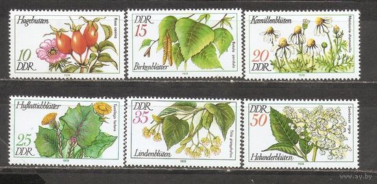 ФФ1 ГДР 1978 Соцветия