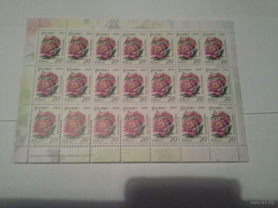 2008 стандарт 20р пион зак. 43-2011, 84-2011 цена за 1 лист