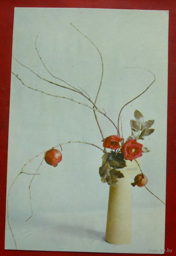 Композиция из цветов. Чистая. 1969 года. Фото Игнатович. 625.