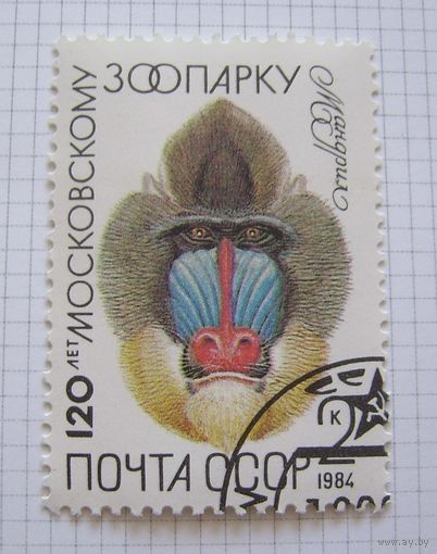 СССР1984г.