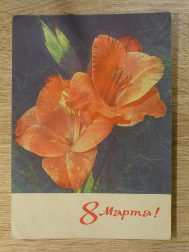 ПОДПИСАННАЯ ОТКРЫТКА ПРОШЕДШАЯ ПОЧТУ. СССР. "8 МАРТА." фото. И. ДЕРГИЛЕВА 1970 ГОД.