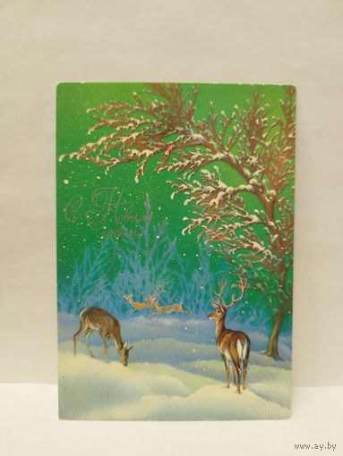 Исаков, 1985, ЧИСТАЯ