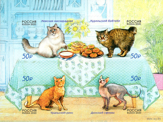 Россия 2020. Кошки 4 марки сцепка 2611-14(1902)