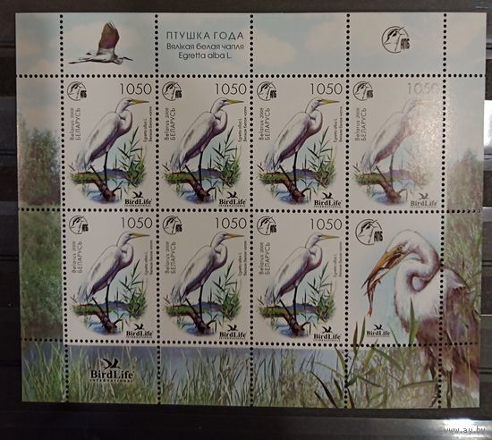 Марки Беларуси 2008, фауна, Птица года, Большая Белая Цапля, чистый лист, КМ 729 каталог 24 евро