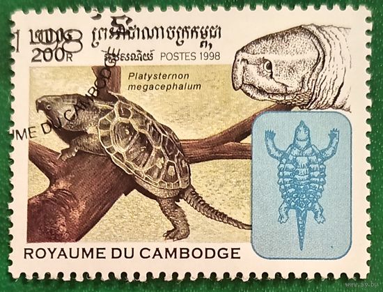 Камбоджи 1998. Большеголовая черепаха