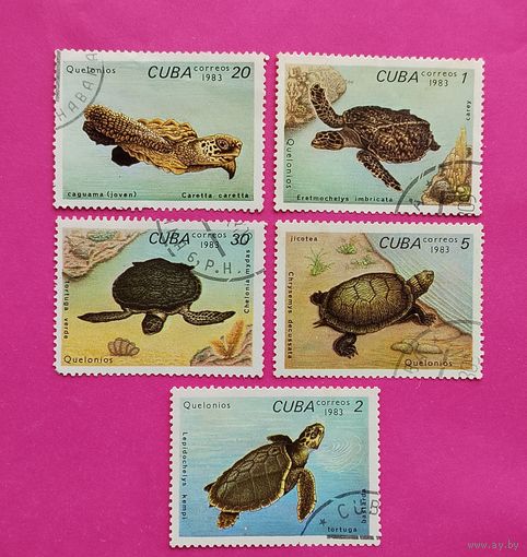 Куба. Черепахи. ( 5 марок ) 1983 года. 3-5.