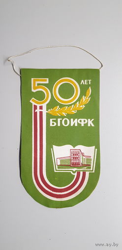 Вымпел 50 лет БГОИФК
