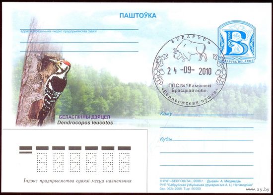 Беларусь 2008 ПК с "В" фауна птицы гашение "Беловежская пуща" зубр