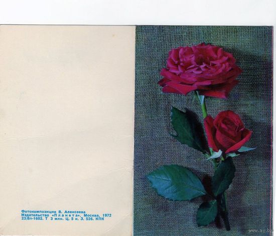 Открытка. Цветы.1972.