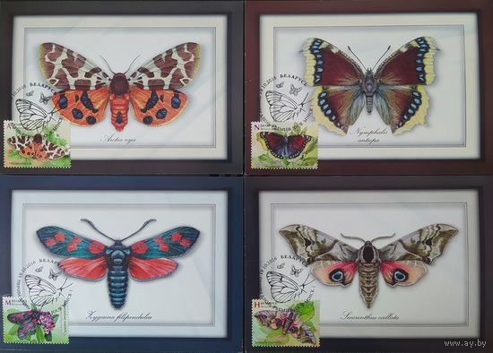 Беларусь 2016 КМ бабочки