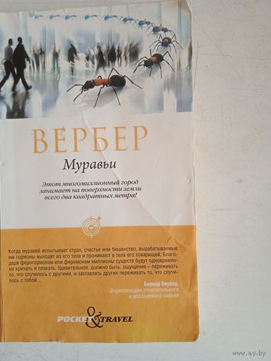 Муравьи
