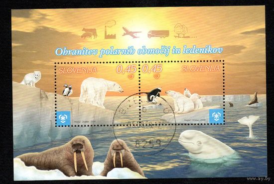 Защита полярных областей и ледников Словения 2009 год 1 блок