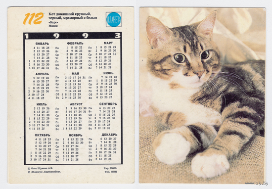 Календарь кот домашний N112 1993