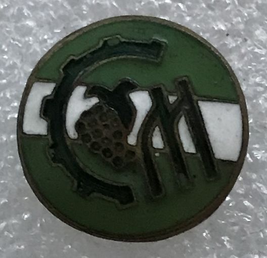 ДСО МОЛДОВА