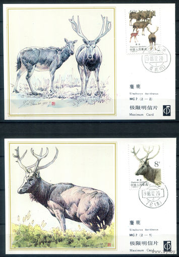 Китай - 1988г. - олени, картмаксимум - 2 открытки [Mi 2213-2214]. #3-WB-96-CP-19