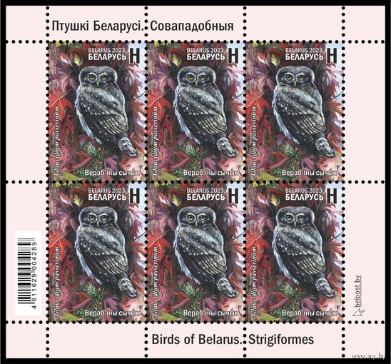 2023 БЕЛАРУСЬ Малый лист "Птицы Беларуси. Совообразные"  MNH