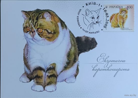 Почтовая карточка