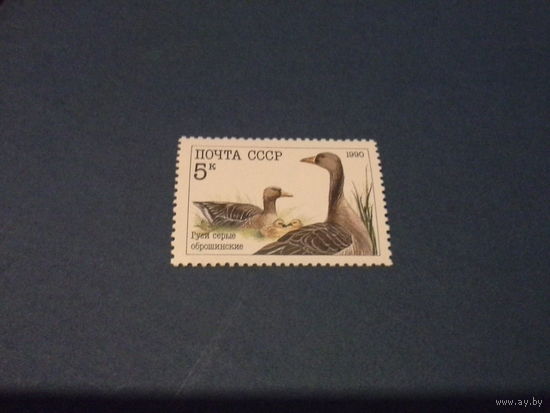 СССР 1990 птицы