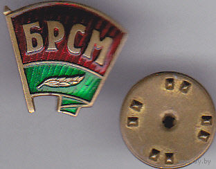 Белорусский республиканский союз молодежи (БРСМ).