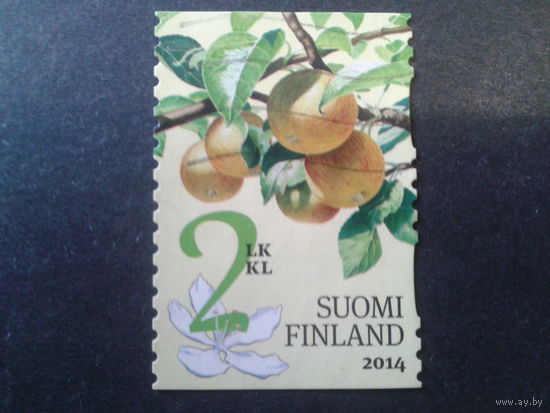 Финляндия 2014 яблоки
