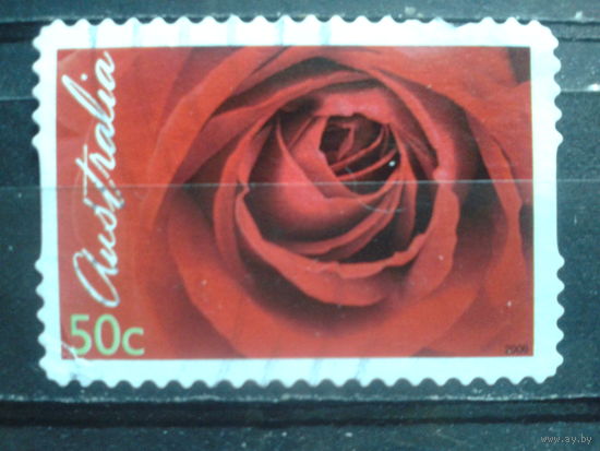 Австралия 2006 День св. Валентина, роза