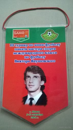 Вымпел турнир им. Янушевского