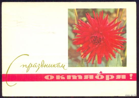 СССР ДМПК 1965 С праздником Октября георгин /прошла почту/