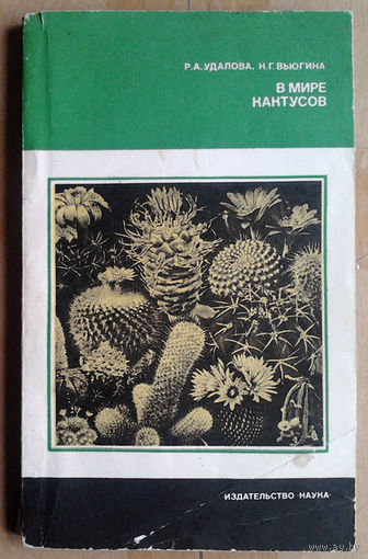 В мире кактусов