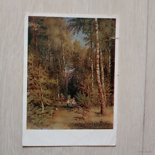 Шишкин. В лесу. Чистая. 1960 года. 1960.