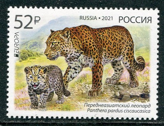 Россия 2021. Европа СЕРТ. Леопард
