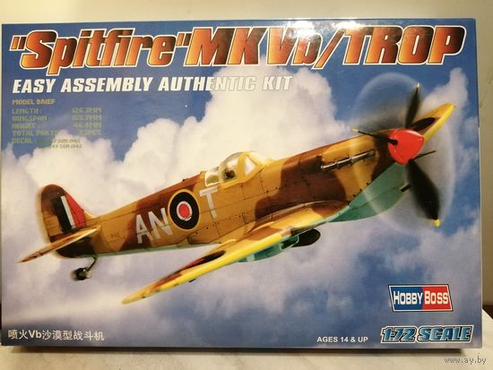 Spitfire MK Vb/TROP