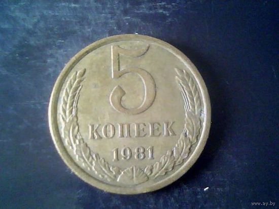 Монеты. СССР 5 Копеек 1981