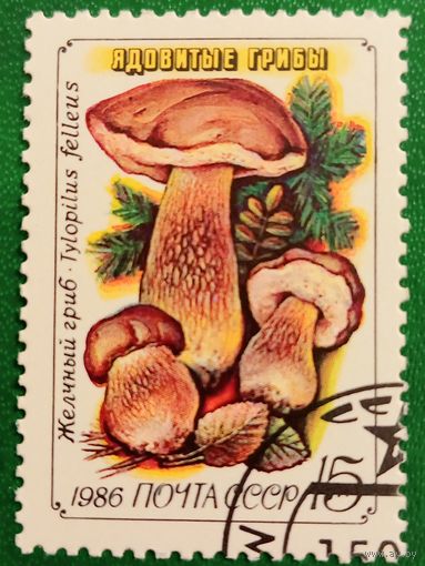 СССР 1986. Ядовитые грибы. Желчный гриб