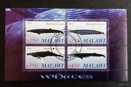 ЛИСТ ФАУНА животные  СТО