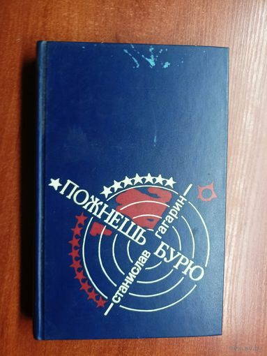 Станислав Гагарин "Пожнешь бурю"