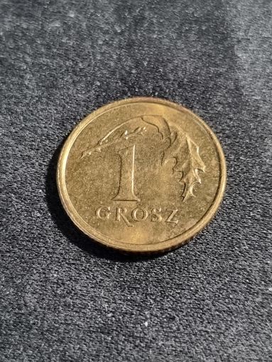 Польша 1 грош 2007