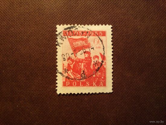 Польша 1955 г.Революционеры с флагом ./43а/