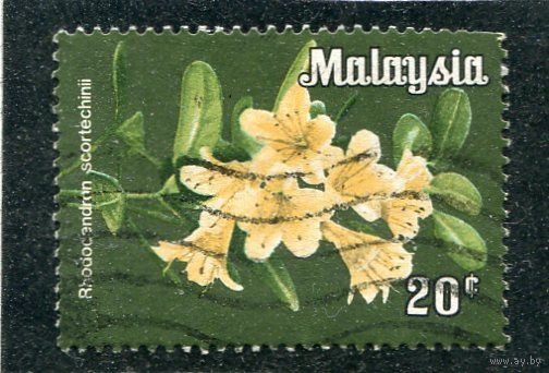 Малазийские штаты. Федерация. Флора. Орхидеи