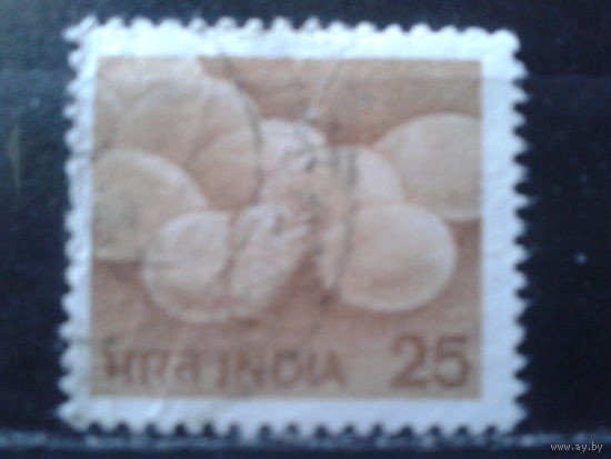 Индия 1979 Стандарт, яйца птиц и вылупившийся цыпленок