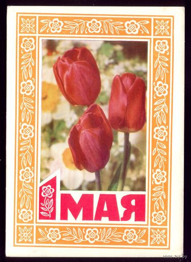 1974 год Б.Пармеев 1 мая
