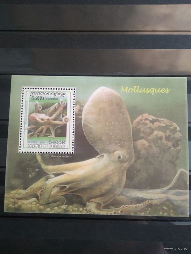 Камбоджа. 1999г. Морская фауна.