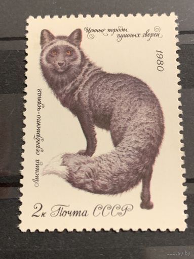 СССР 1980. Лисица серебристо-чёрная