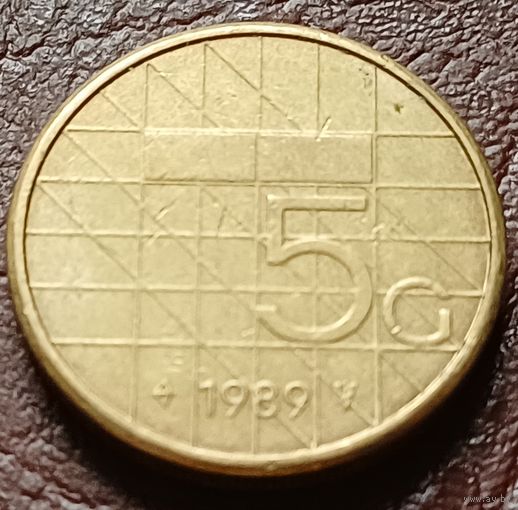Нидерланды 5 гульденов, 1989     ( 2-7-1 )
