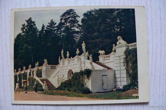 1956; Архангельское. Нижняя терраса; чистая (изд. "Правда").
