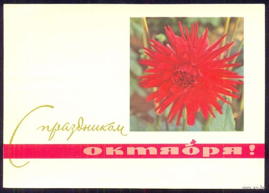 СССР ДМПК 1965 С праздником Октября георгин /подписана/