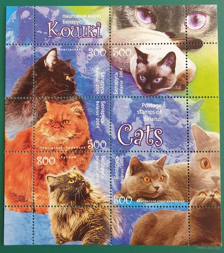 2004 Кошки Беларусь