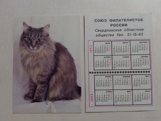 Карманный календарик. Котик.1992 год