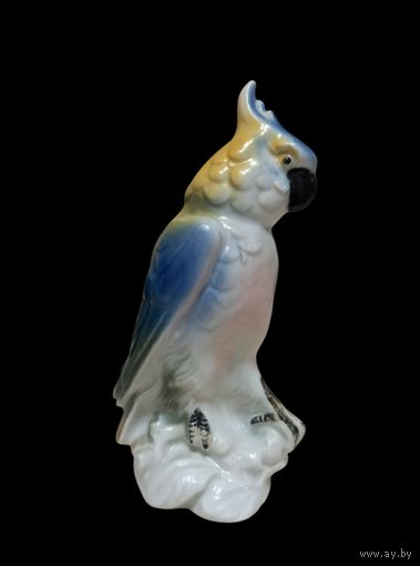 С РУБЛЯ! Какаду, Германия