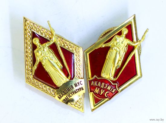2 ромба Академии МВД