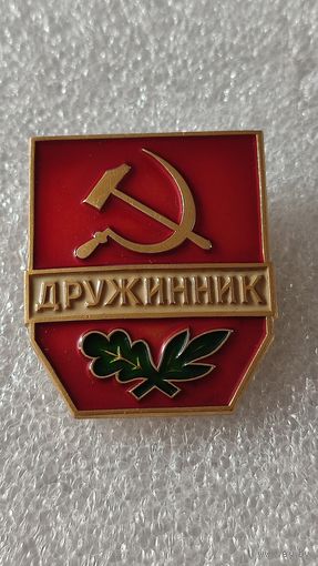 Значок знак Дружинник